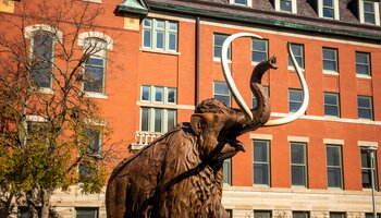A mammoth statue in front of the Natural History Building