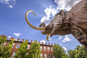 The mammoth statue in front of Noyes Hall.