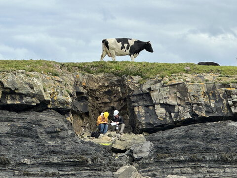 geologists taking notes on rock formation under cow pasture