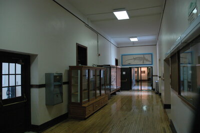 An old hallway in the Natural History Building.