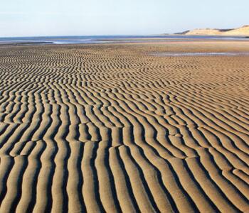 an image of sand dunes