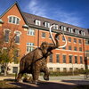 A statue of a mammoth in front of a brick building.