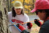 Two students taking a tree ring core from a tree.