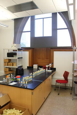 The door from the inside, blocked by a heavy lab counter.