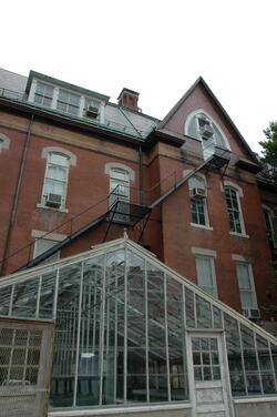A fire escape and a greenhouse attached to the Natural History Building.